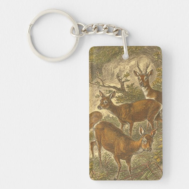 Family of Roe - Deers in a Forest Keychain (Front)
