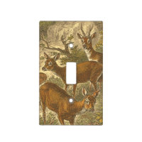 Family of Roe - Deers in a Forest