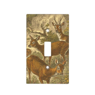 Family of Roe - Deers in a Forest Light Switch Cover