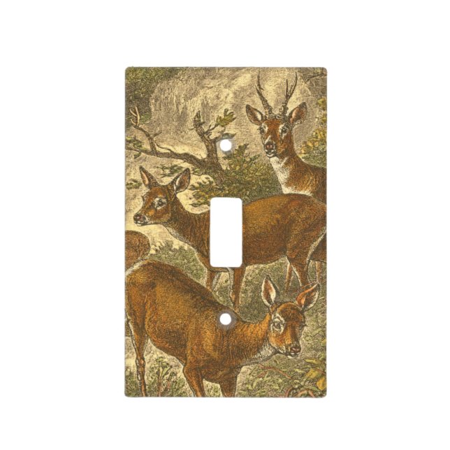 Family of Roe - Deers in a Forest Light Switch Cover (Front)