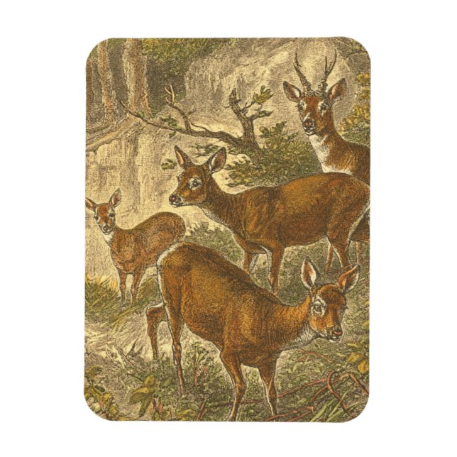 Family of Roe - Deers in a Forest Magnet (Vertical)