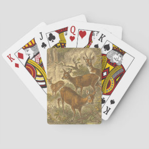 Family of Roe - Deers in a Forest Poker Cards