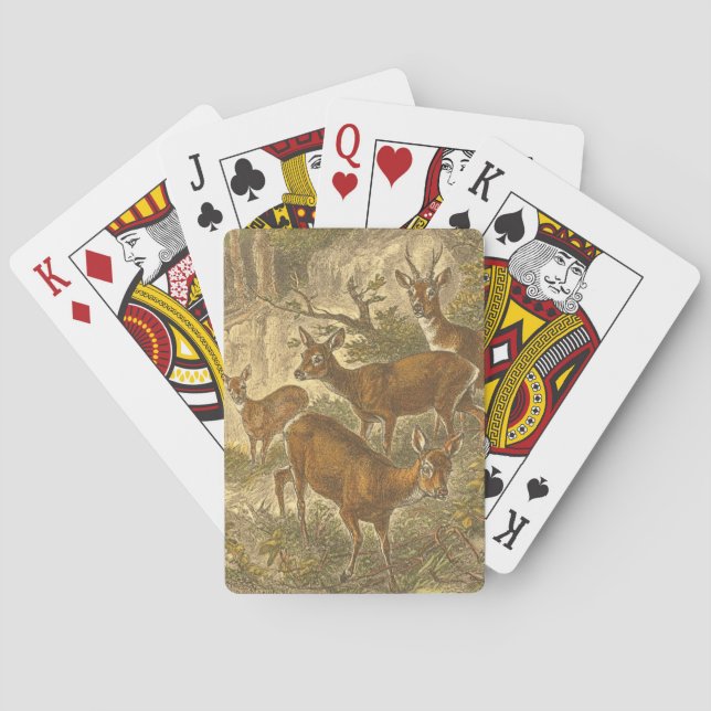 Family of Roe - Deers in a Forest Poker Cards (Back)