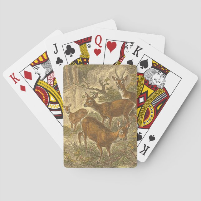 Family of Roe - Deers in a Forest Poker Cards (Back)