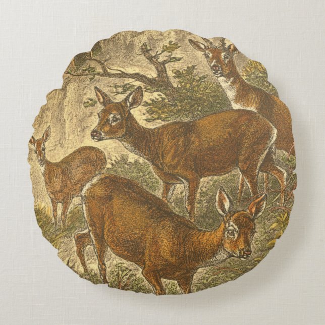 Family of Roe - Deers in a Forest Round Pillow (Front)