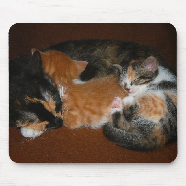 Family of sleepy kittens mouse pad (Front)