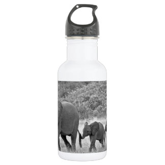 Family of South African elephants Water Bottle