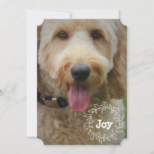 Family or Pet Holiday Photo Card