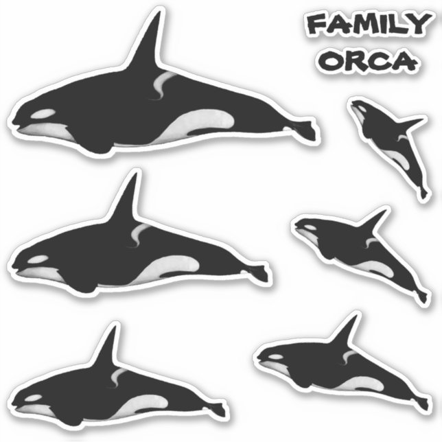 FAMILY ORCA WHALE STICKER (Front)