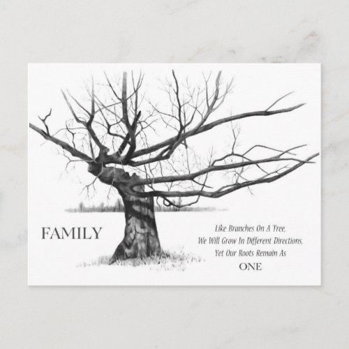 FAMILY Pencil Art Gnarly Old Tree Family Ties Postcard