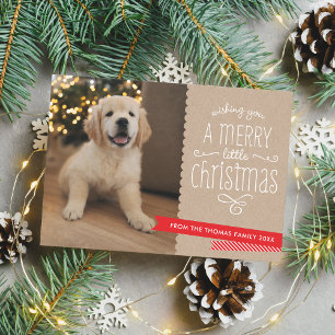 FAMILY PET modern fun whimsical typography rustic Holiday Card