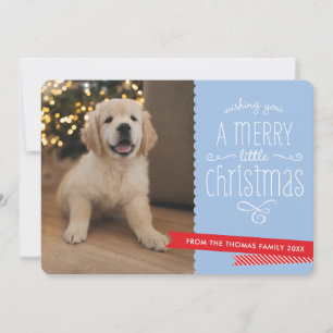 FAMILY PET modern whimsical typography red blue Holiday Card