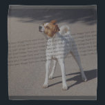 Family Pet Photo Bandana<br><div class="desc">It’s a snap to create your own. You can use a chat meme or any image you like.
These best sellers are trending now and are part of our top 10 requested products. Our customer base appreciates Top sellers which follow the current trends and upscale fashions.</div>