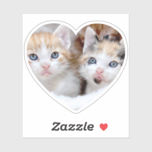 Family Pet Photo Heart Shape Sticker