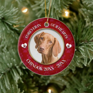 Family Pet Photo Memorial Ceramic Ornament