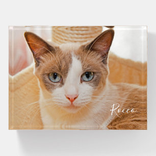 Family Pet Photo Name Paperweight