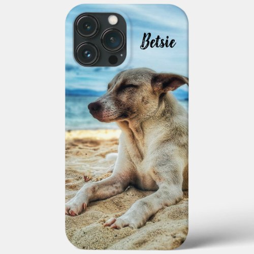 Family Pet Photo on the Beach iPhone 13 Pro Max Case