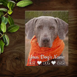 Family Pet Photo Personalized Jigsaw Puzzle<br><div class="desc">Fun family pet photo for this fun personalized jigsaw puzzle. Upload your dog's pic and edit the name text for a wonderful,  one of a kind family fun gift idea.</div>