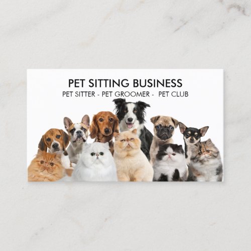 Family Pet Six Dogs Five Cats Business Card