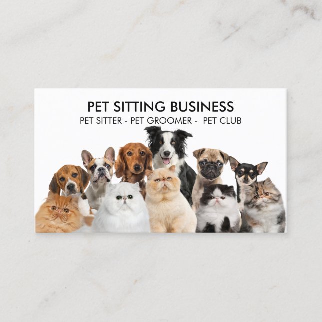 Family Pet Six Dogs Five Cats Business Card (Front)