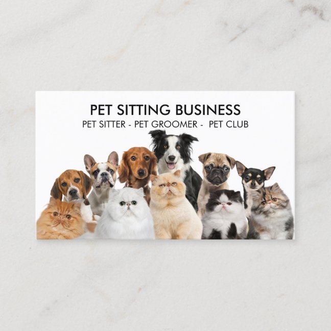 Family Pet Six Dogs Five Cats Business Card