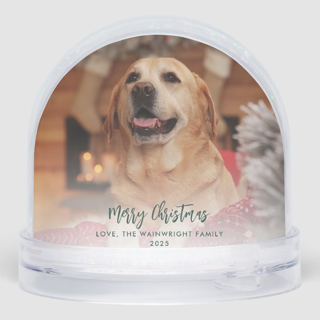 Family Photo First Christmas with Dog Custom Snow Globe (Back)