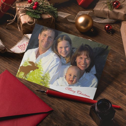 Family Photo Merry Christmas Moose and Pine Trees Holiday Card