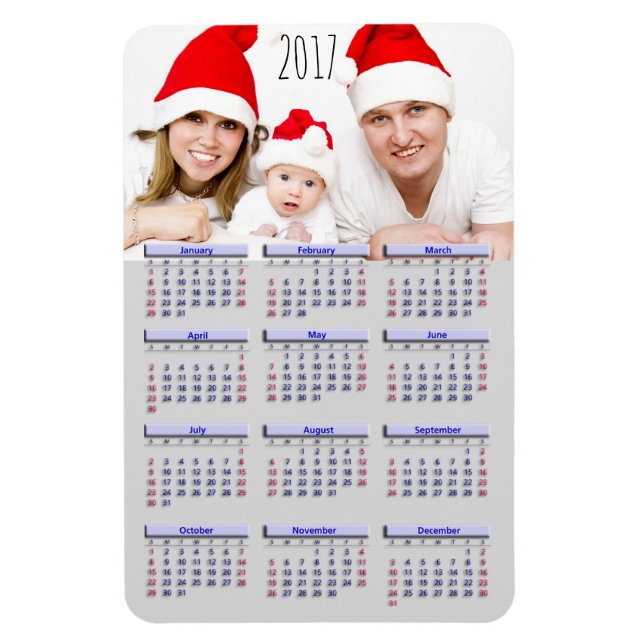 Family Pic 2017 Mini Refrigerator Magnet Calendar (Vertical)