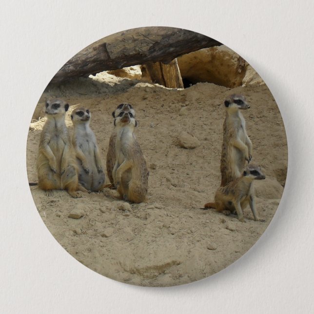 family pinback button (Front)