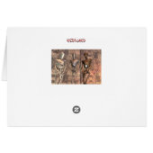 family portrait cards (Back Horizontal)