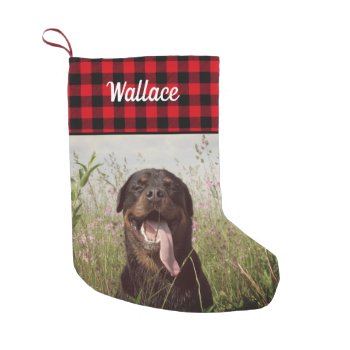 Family Portrait Custom Print Pet Photo Small Christmas Stocking by MiniBrothers at Zazzle