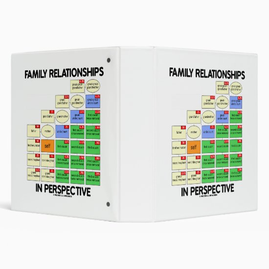 Family Relationships In Perspective Genealogy 3 Ring Binder