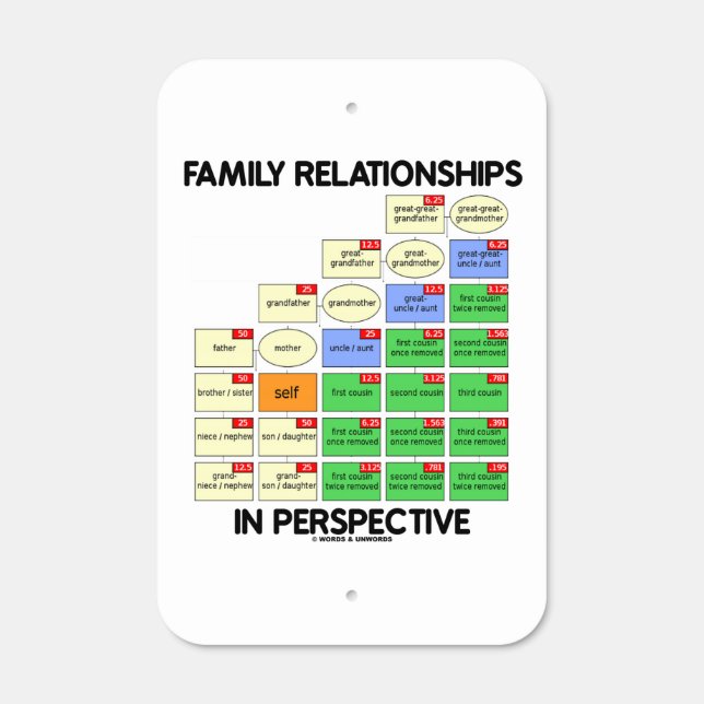 Family Relationships In Perspective Genealogy Metal Sign (Front)