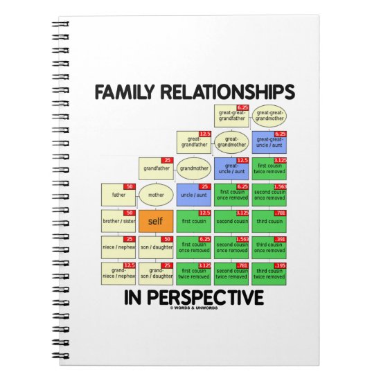 Family Relationships In Perspective (Genealogy) Notebook