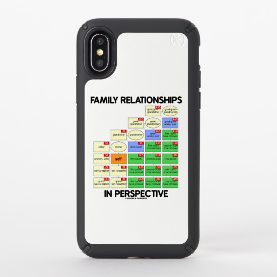 Family Relationships In Perspective Genealogy Speck iPhone X Case