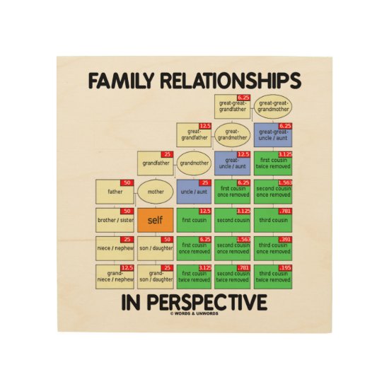 Family Relationships In Perspective Genealogy Wood Wall Art
