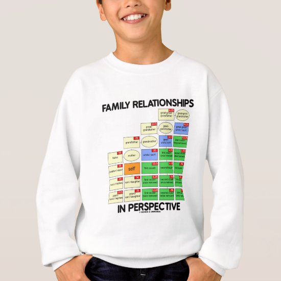 Family Relationships In Perspective (Reunion) Sweatshirt