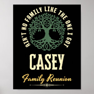 Family Reunion 2025 Matching Design - Casey  Poster