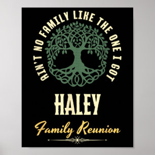 Family Reunion 2025 Matching Design - Haley  Poster