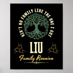 Family Reunion 2025 Matching Design - Liu  Poster