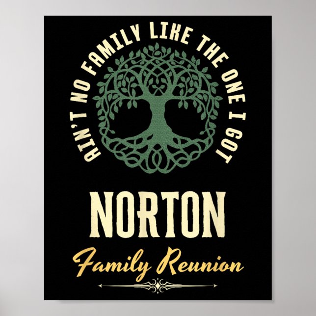 Family Reunion 2025 Matching Design - Norton  Poster (Front)