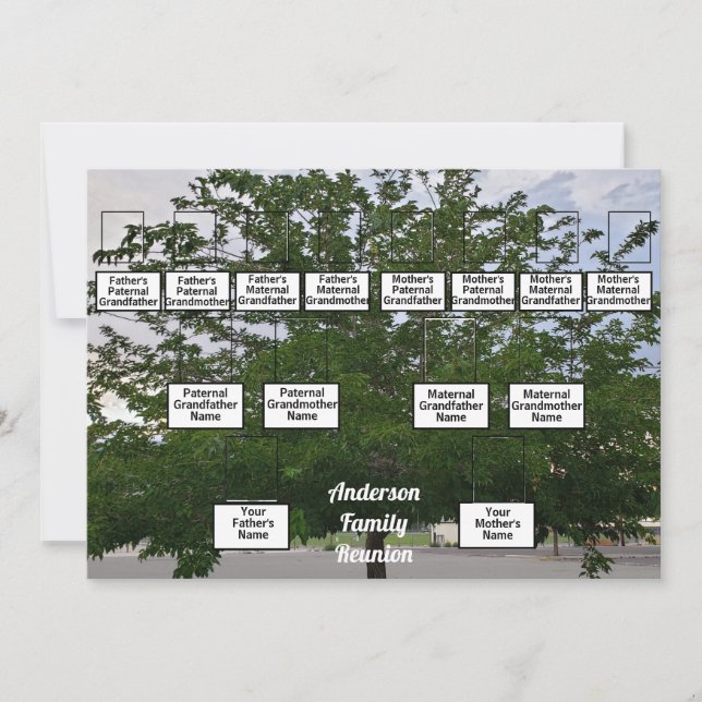 Family Reunion 3 Generation Summertime Tree Invitation (Front)