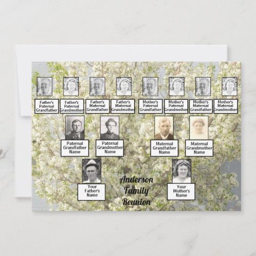 Family Reunion Family Tree White Blossoms Invitation