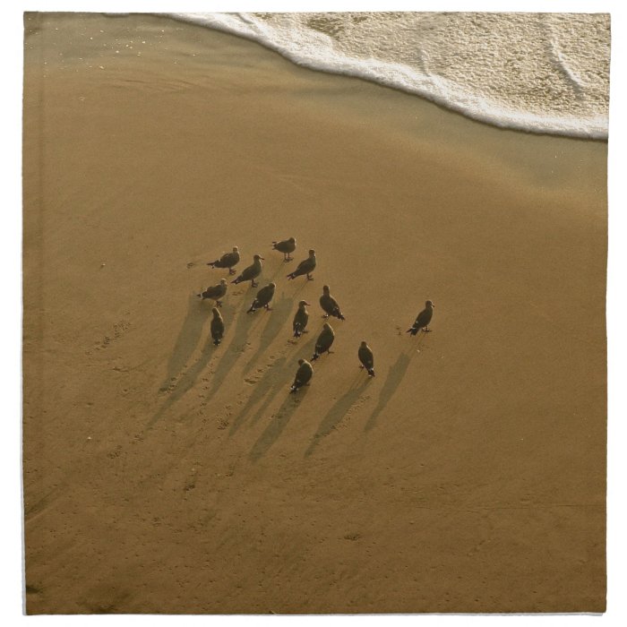 FAMILY REUNION OF SORTS AT THE BEACH NAPKIN