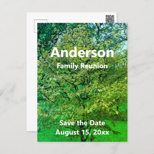 Family Reunion Tree Green  White Save the Date Postcard