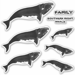FAMILY SOUTHERN RIGHT WHALE STICKER