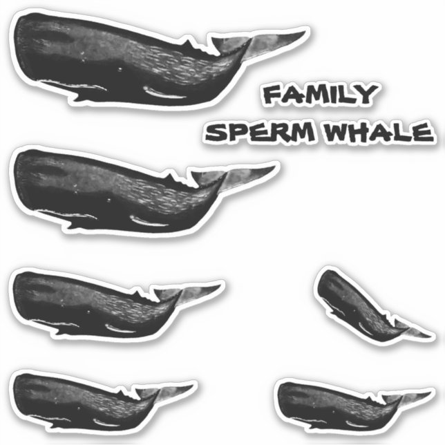 FAMILY SPERM WHALE STICKER (Front)