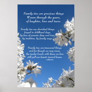 Family Ties Magnolia Poster