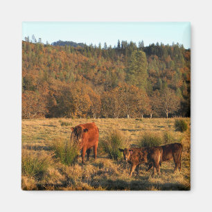 Family Time....... Magnet