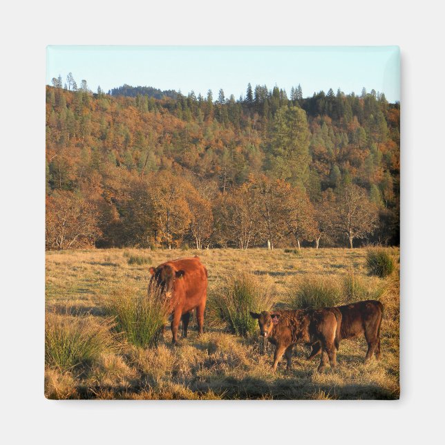 Family Time....... Magnet (Front)